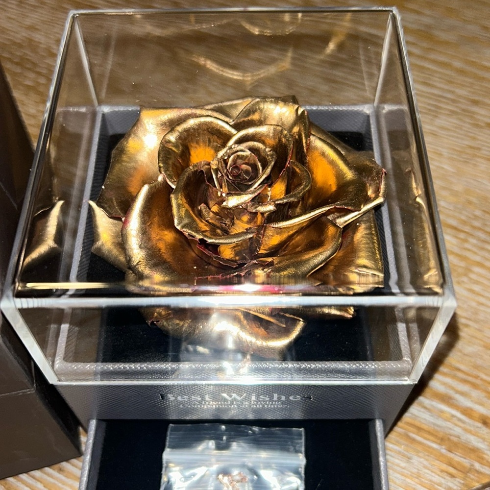 Preserved Real Rose